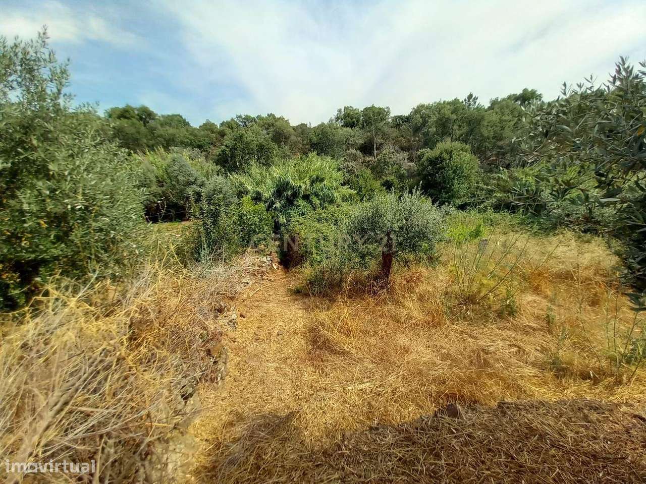 Terreno Rustico 480m2 Palvarinho - Grande imagem: 4/10