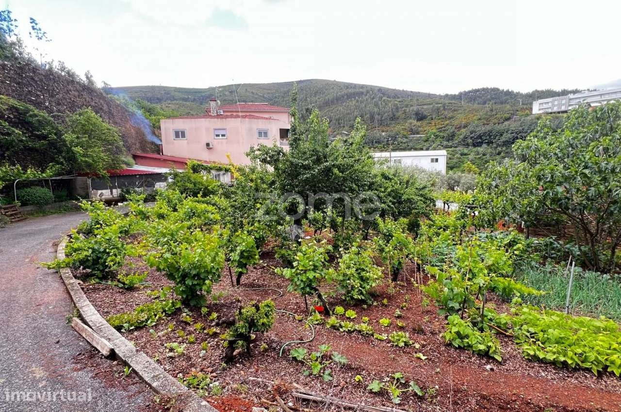 Terrenos Urbanizáveis com 680 e 1.630 m2 - Pampilhosa da Serra-8