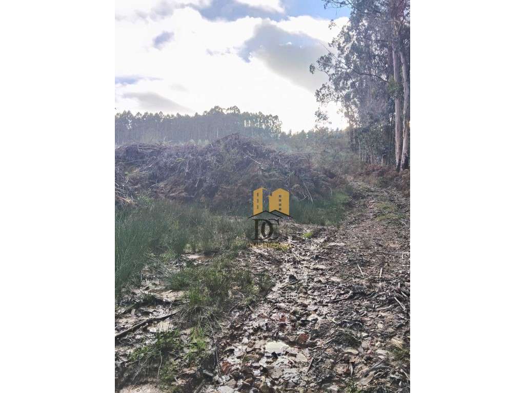 Terreno florestal em Rates-5