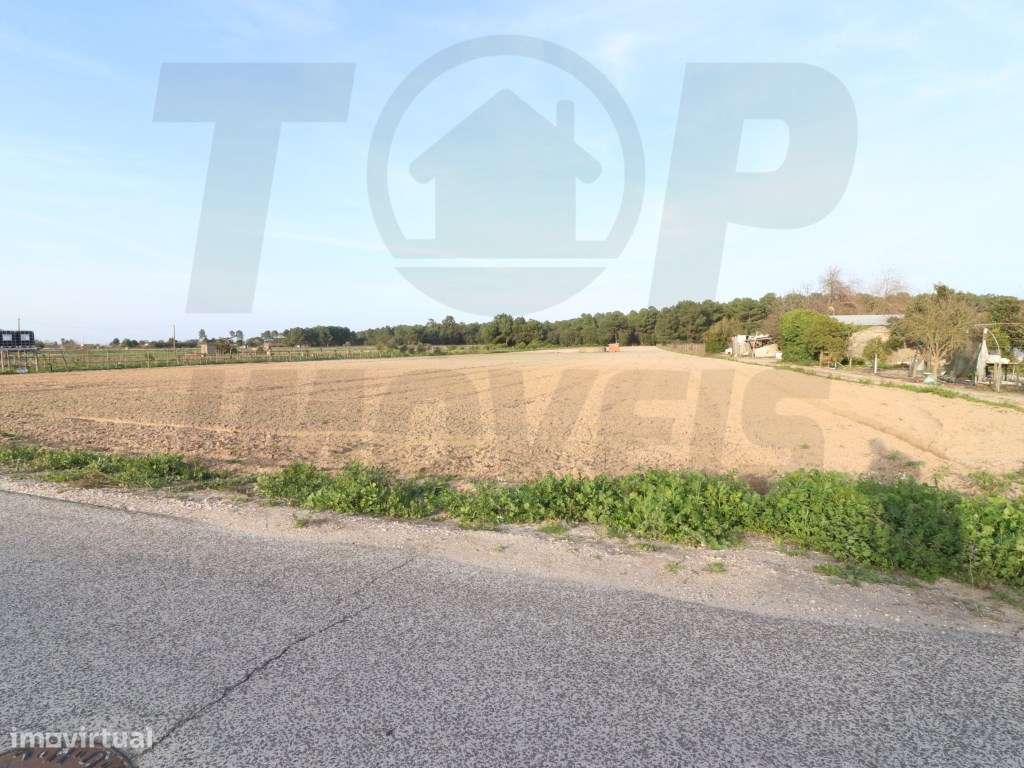 Terreno Construção - Foros de Salvaterra - 6040 M2 - 31 Mts de Fren... - Grande imagem: 4/7