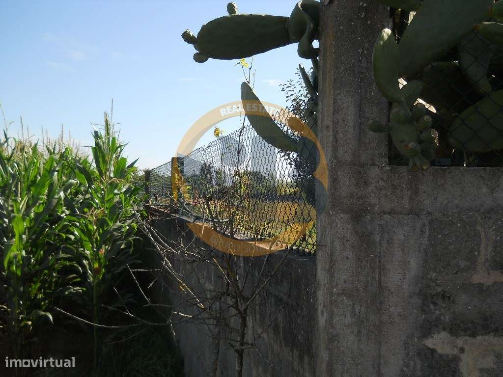 Terreno Ovar - Grande imagem: 2/18
