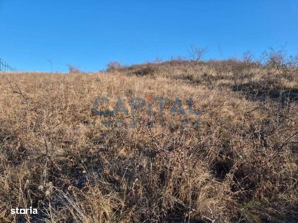 Teren intravilan, 1 000 mp, zona Tausor - Imagine principală: 3/7