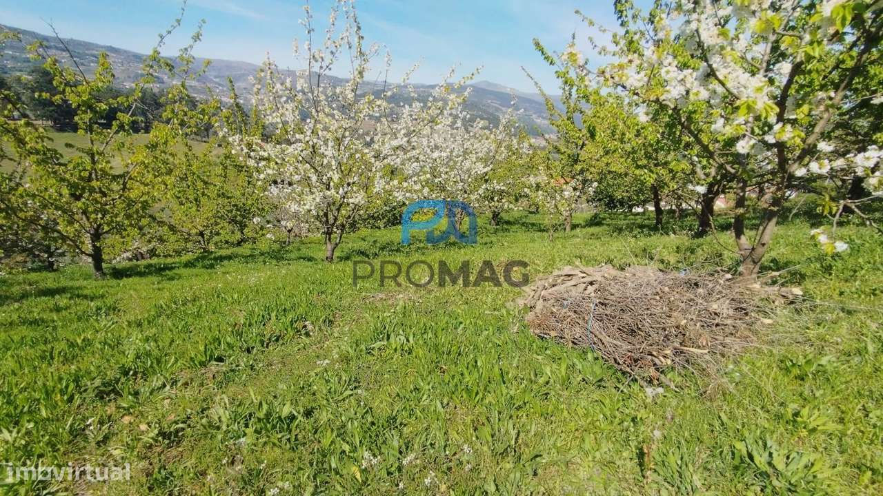 Quinta do Valado- Excelente Investimento em Resende-13