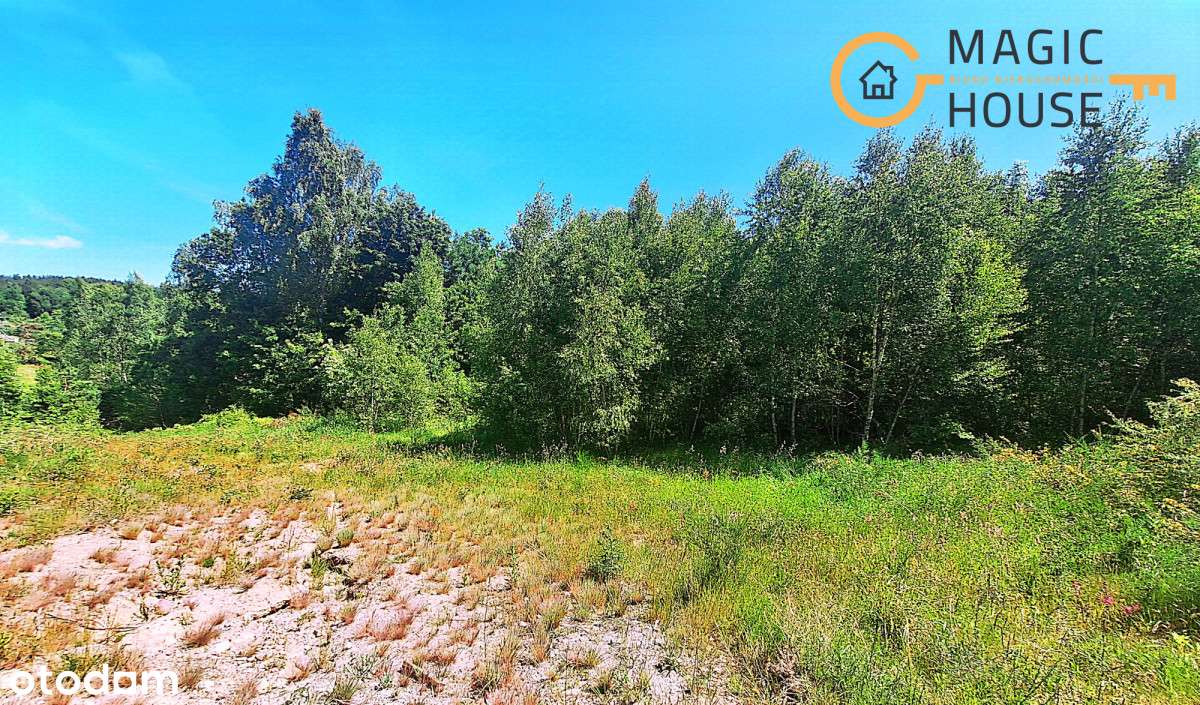 Działka rolna 3002 m2 w Koleczkowie - Pełny obrazek: 2/14