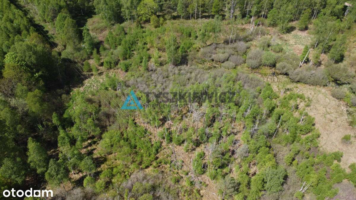 Działka rolna z warunkami zabudowy - Pełny obrazek: 5/9