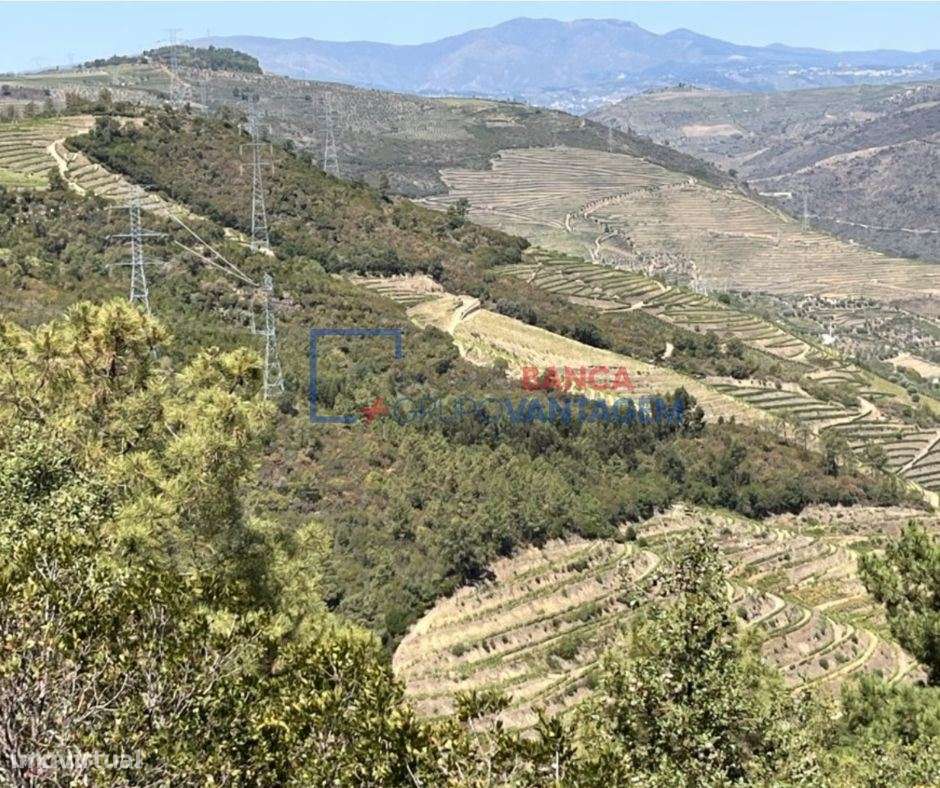 Terreno com mais de 40 000m2, Armamar, Viseu - Grande imagem: 4/6