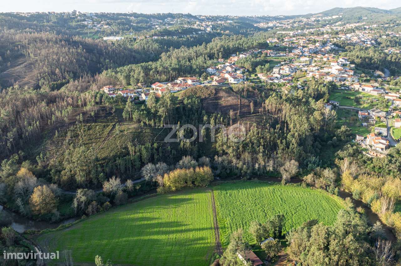 Terreno Florestal - Grande imagem: 2/16