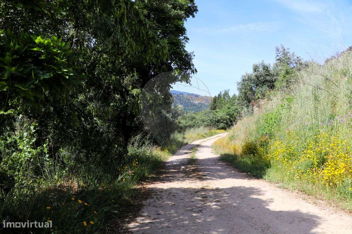 Terreno  para venda - Grande imagem: 4/5