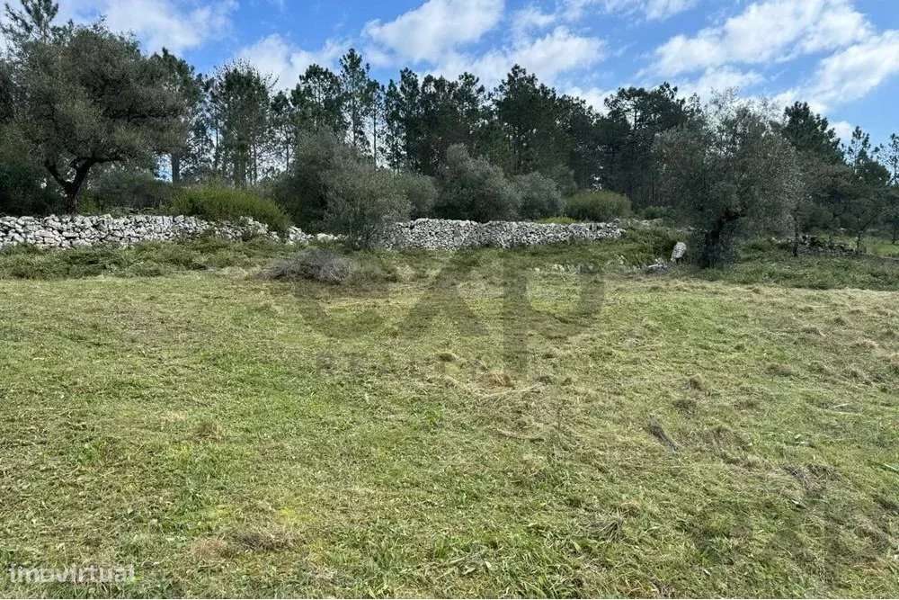 TERRENO DE 1440 m2 COM PROJETO EM ALQUEIDÃO DA SERRA. PORTO DE MÓS - Grande imagem: 5/26