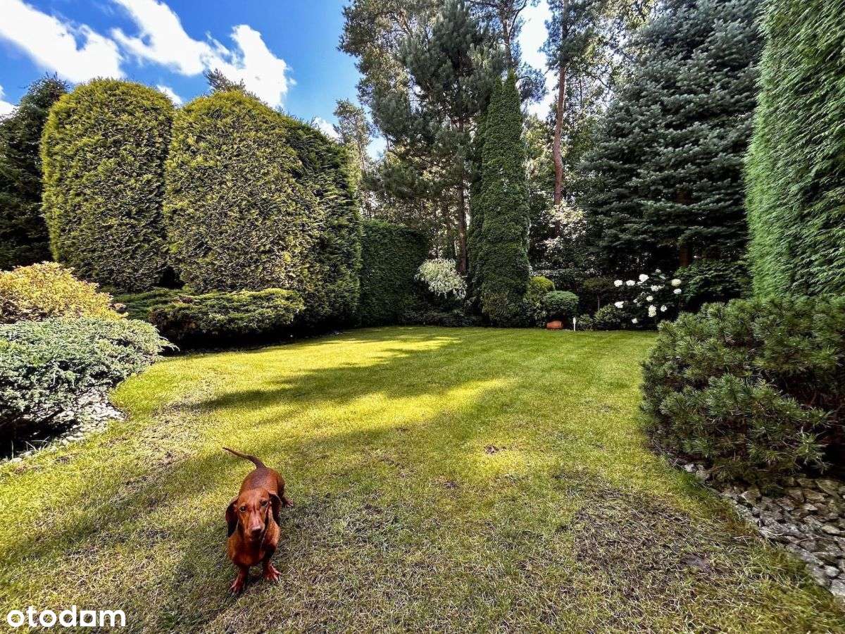 Tuż przy Lasku Marcelińskim! podwójny - Pełny obrazek: 4/20