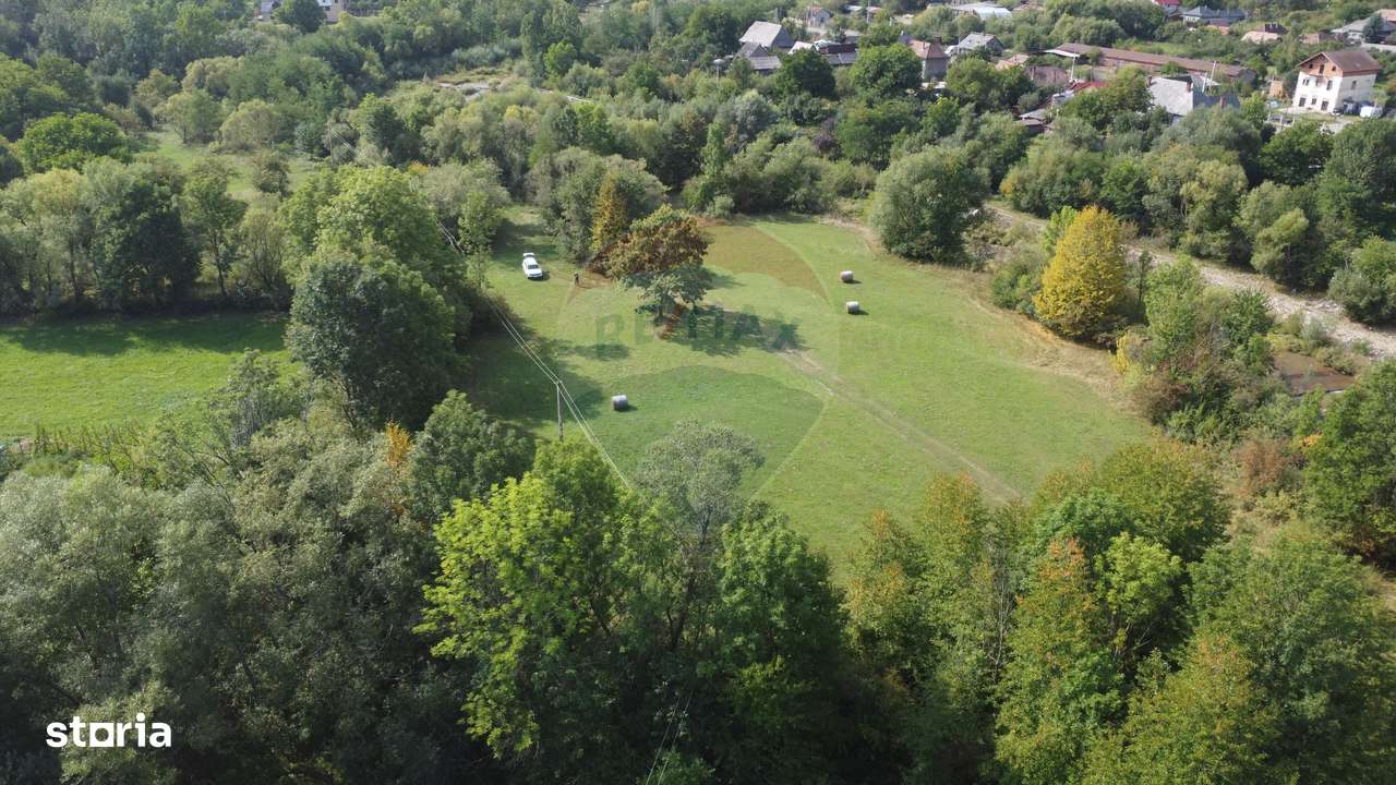 Teren 10.000 mp Calatele – Apuseni, langa rau, ideal investie turism - Imagine principală: 1/20