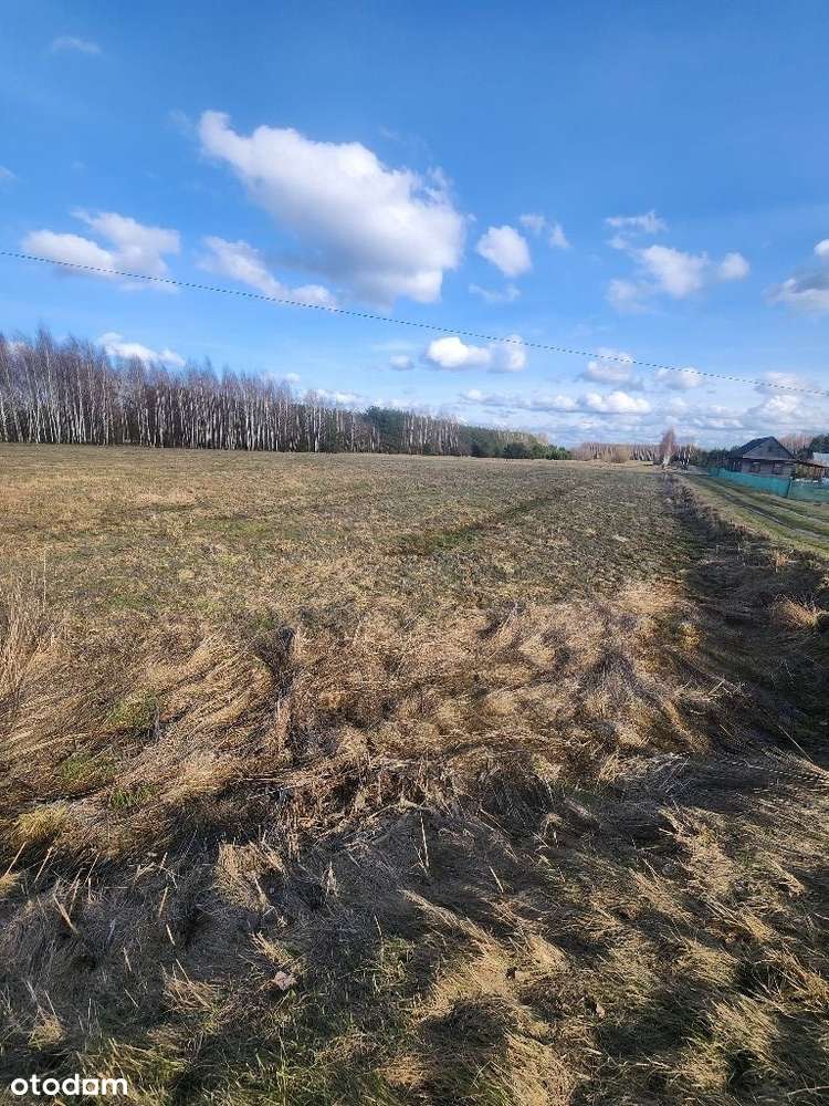 Działka wiejska we wsi Chytra 2,8343 ha, ( WZ) - Pełny obrazek: 5/5