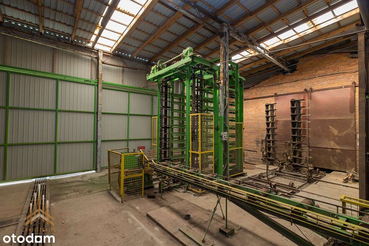 Teren inwestycyjny uzbrojony+budynki - pow. płocki-9