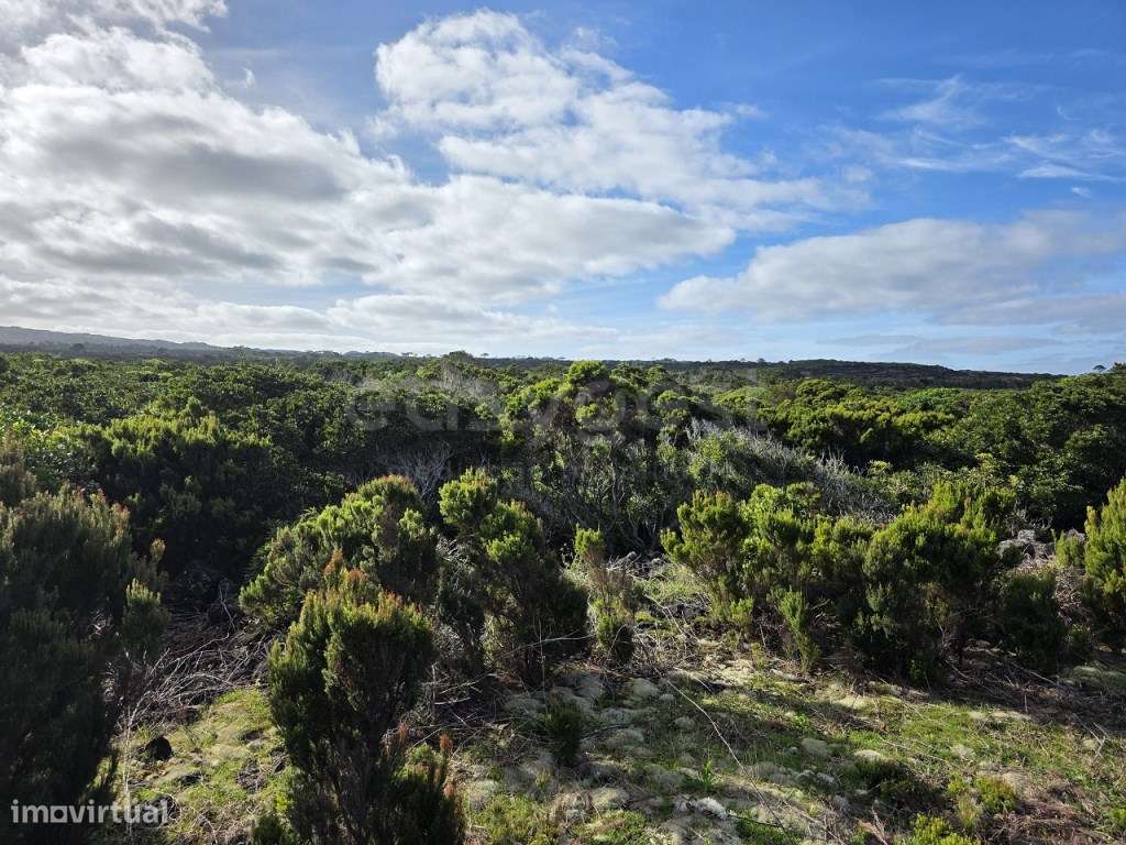 Terreno com Vista Mar, Montanha e Potencial de Enquadramento Turíst... - Grande imagem: 2/11