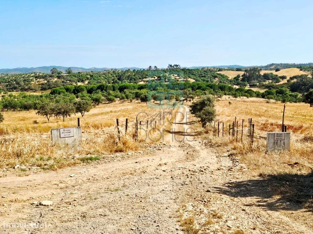 Herdade equestre com moradia T5 e piscina, 93,5ha, em Ourique, Alen...-18