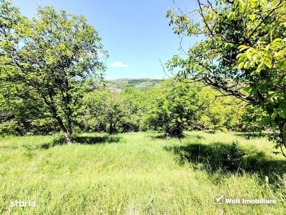 Teren intravilan pentru constructie imobil, Suceagu - Imagine principală: 1/2