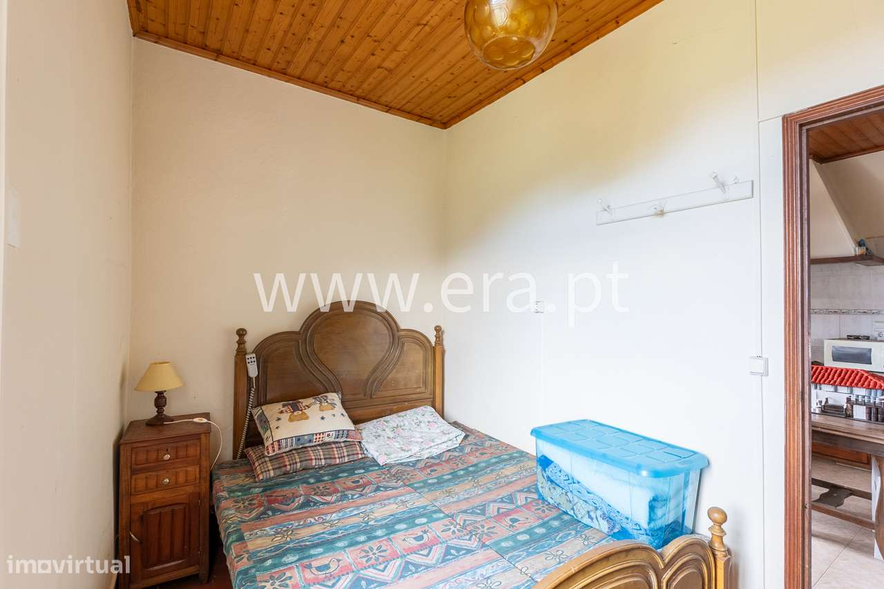 Onde a Visão Encontra a Natureza-12