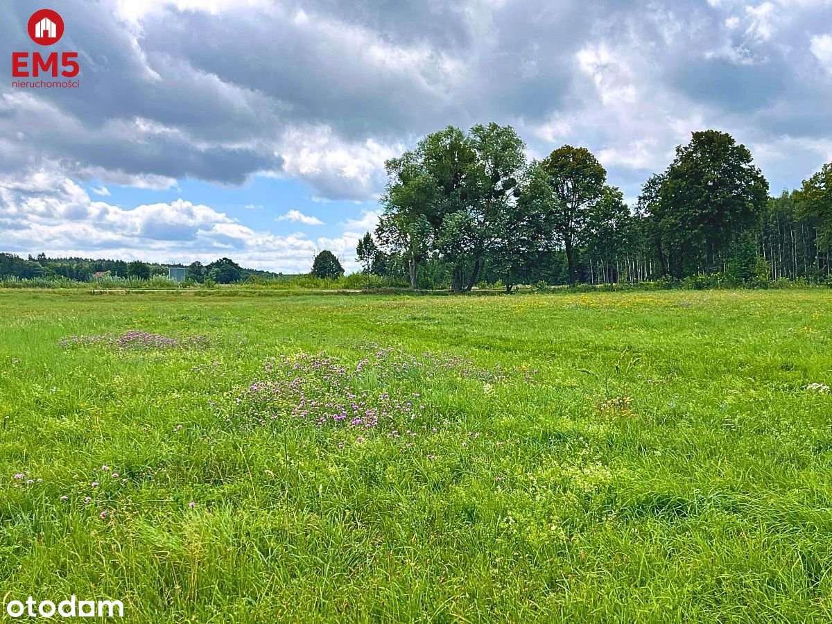 Pierwsza linia jeziora Harsz - działka budowlana. - Pełny obrazek: 4/6