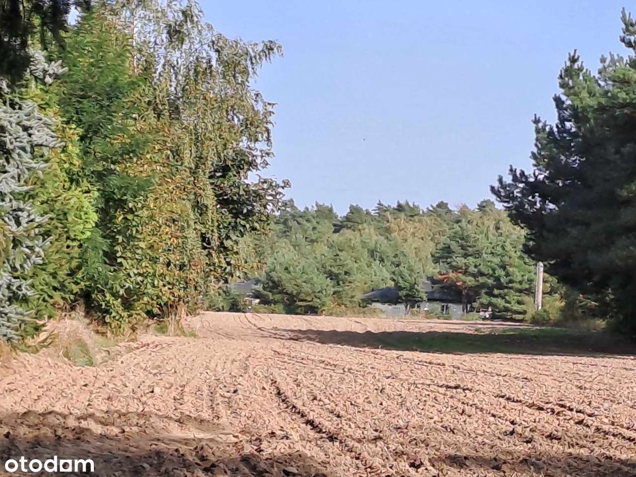 Działka Budowlana 1011m2 MPZP Barcinek-Bugaj-Gm.Swarzędz - Pełny obrazek: 5/10