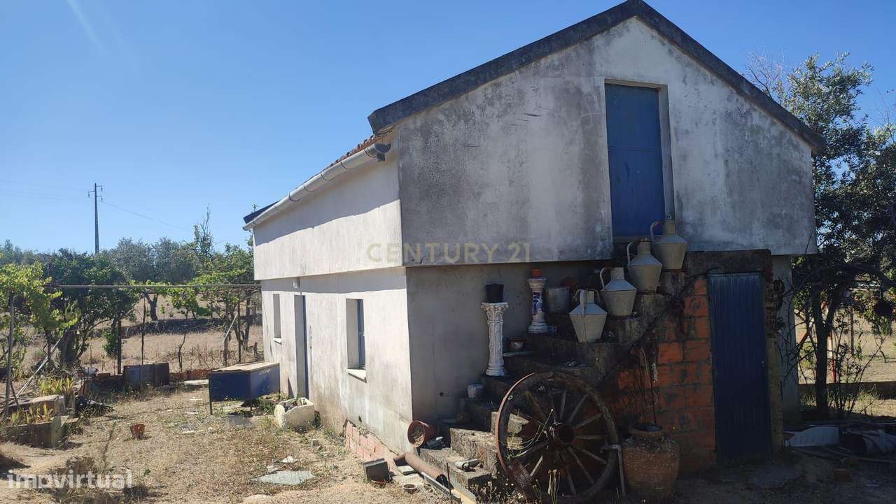 QUINTA NOS ESCALOS DE BAIXO COM 7625 m2 - Grande imagem: 4/29