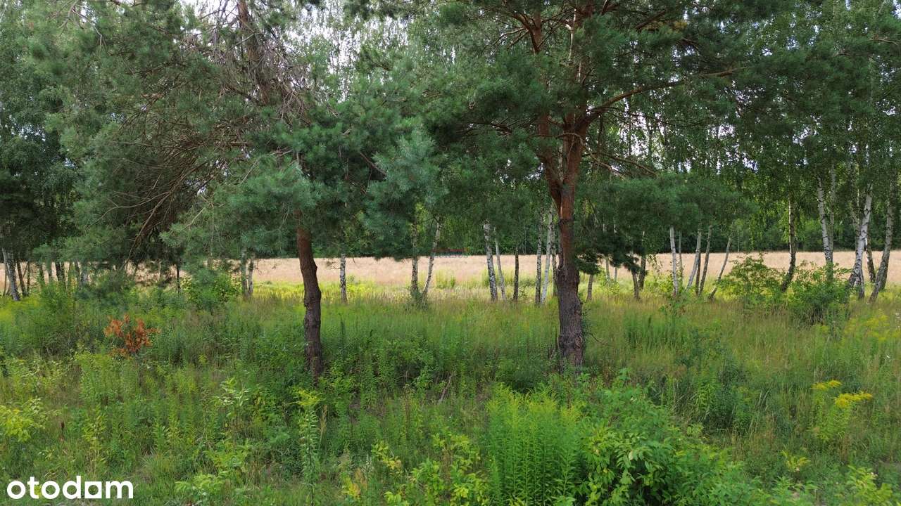 Działka, 950.0 m², Piaseczno - Pełny obrazek: 4/4