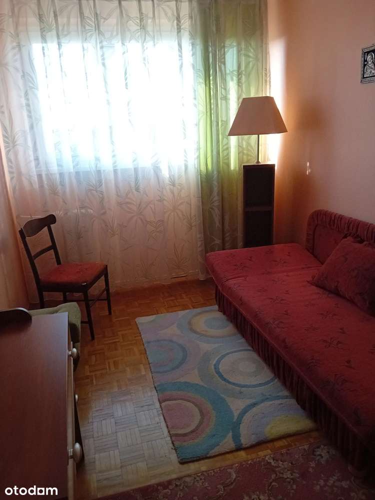 Ustronne miejsce w centrum miasta-10