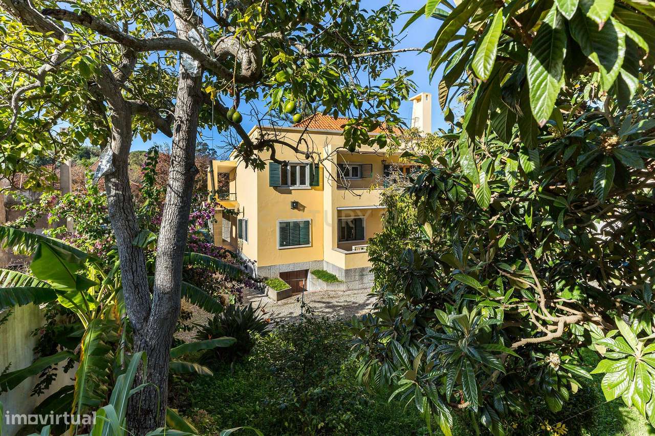 Charmosa Moradia em Alvalade para venda-49