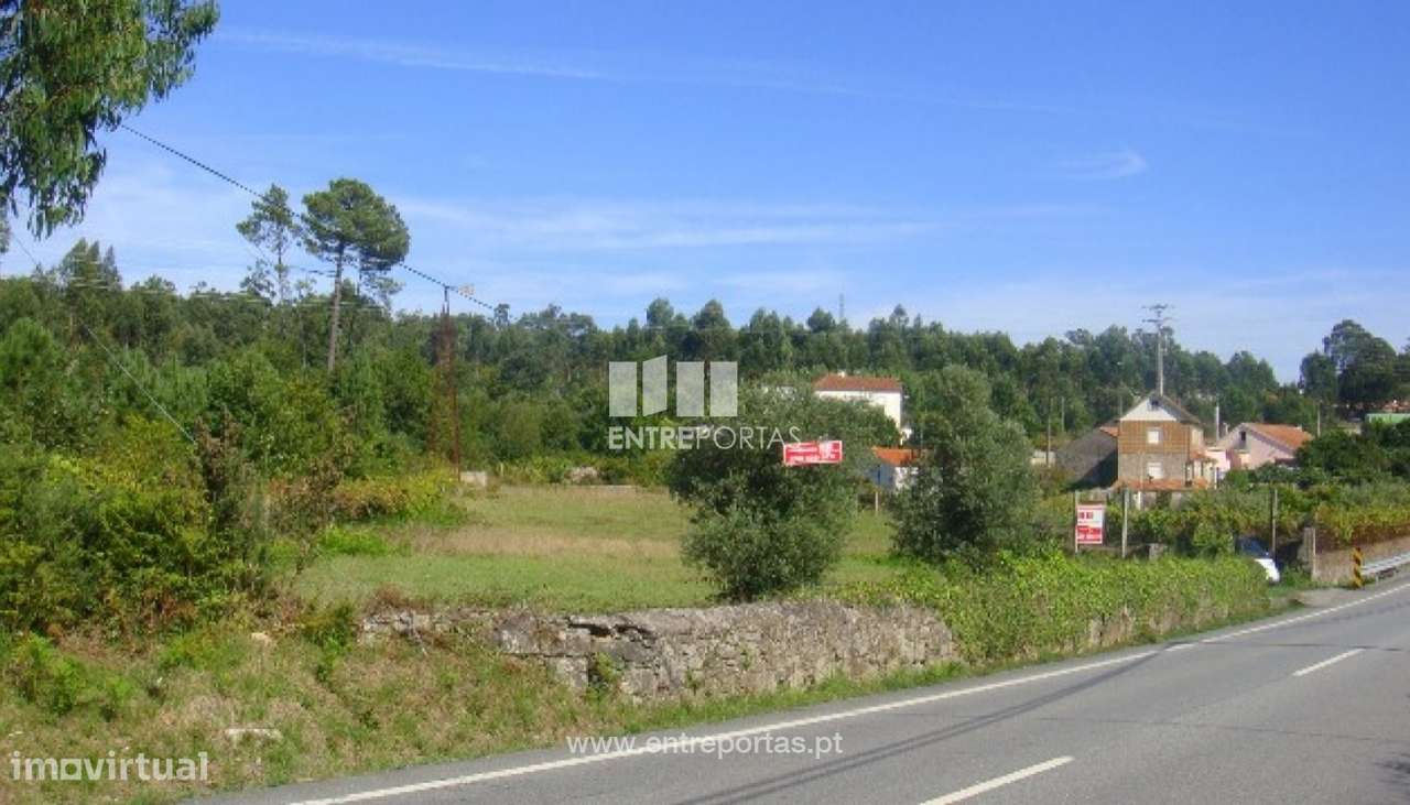 Terreno Agrícola - Vila Fria - Grande imagem: 2/4