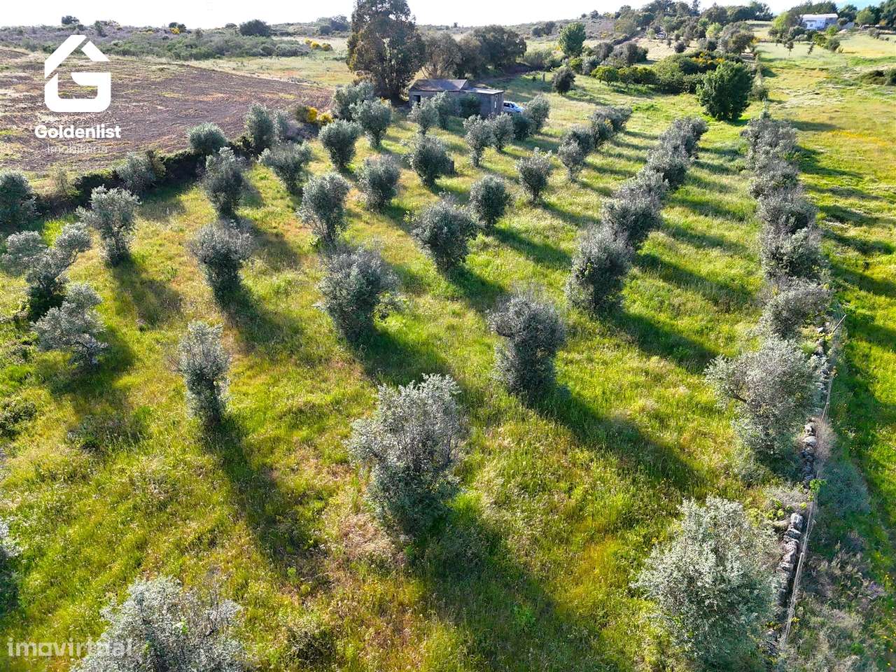 Quintinha  Venda em Escalos de Cima e Lousa,Castelo Branco-5