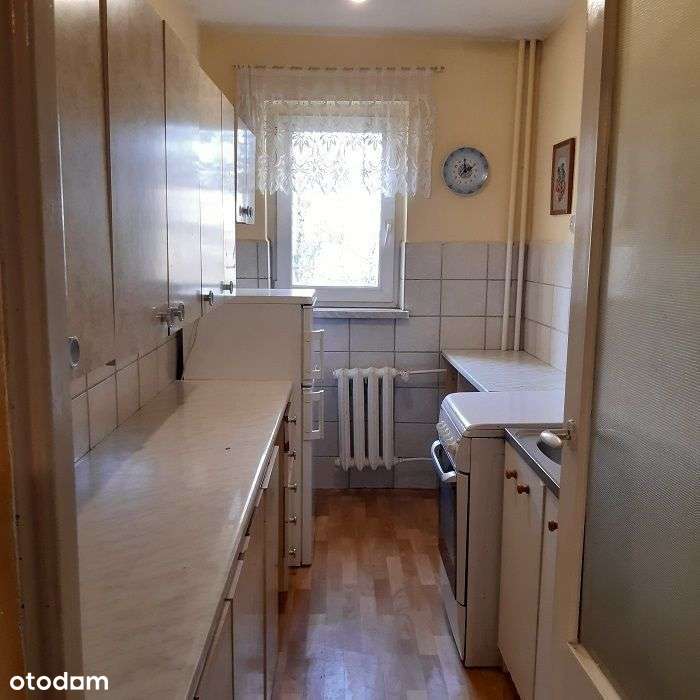 3 niezależne pokoje z balkonem - Pełny obrazek: 4/8