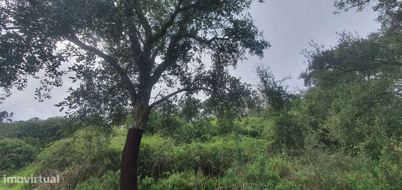 Terreno rústico com 2520 m2, construção rural e poço - Grande imagem: 4/15