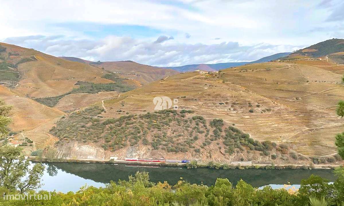 Terreno com vinha -  Douro - Grande imagem: 4/18