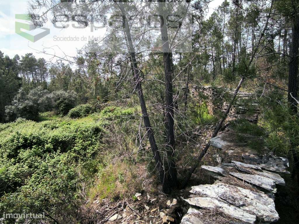 Terreno murado e com poço - Grande imagem: 2/8