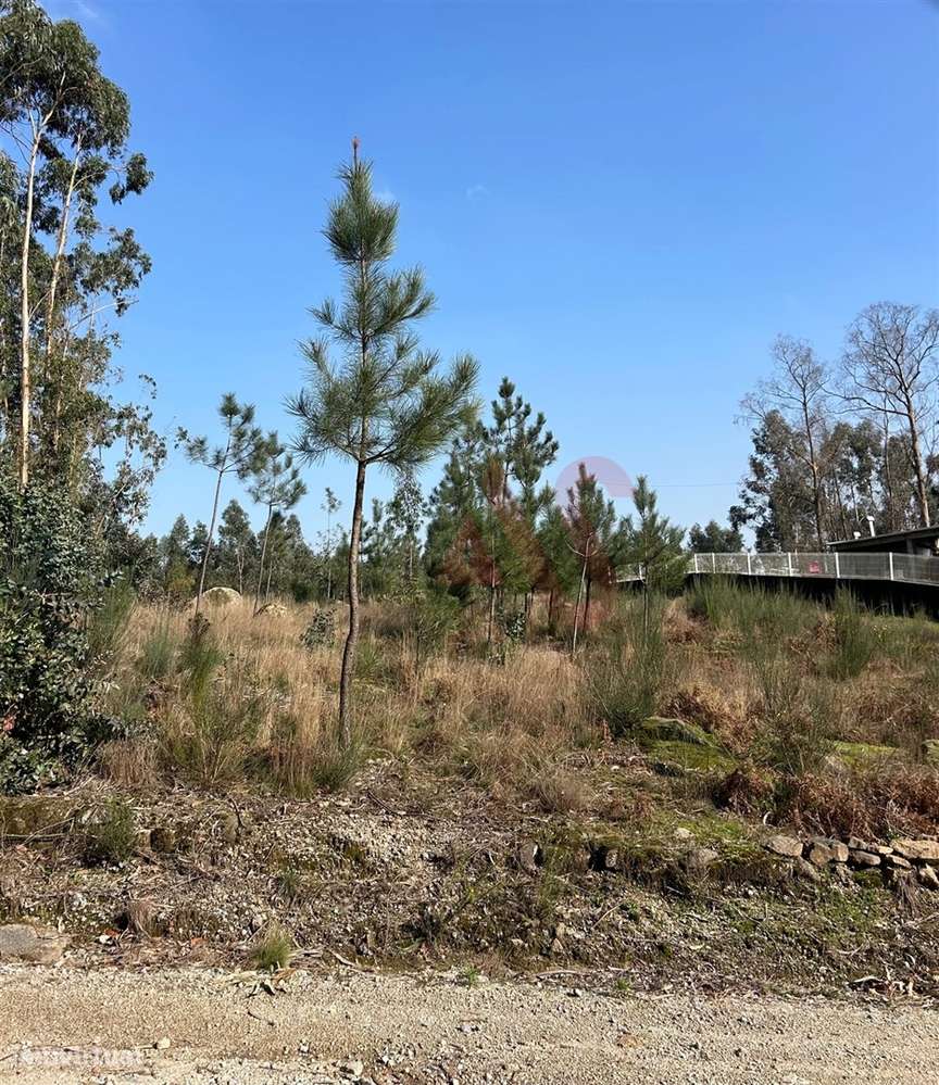 Terreno para Construção em Sanfins – 3.000 m² | Excelente Oportunidade - Grande imagem: 2/7