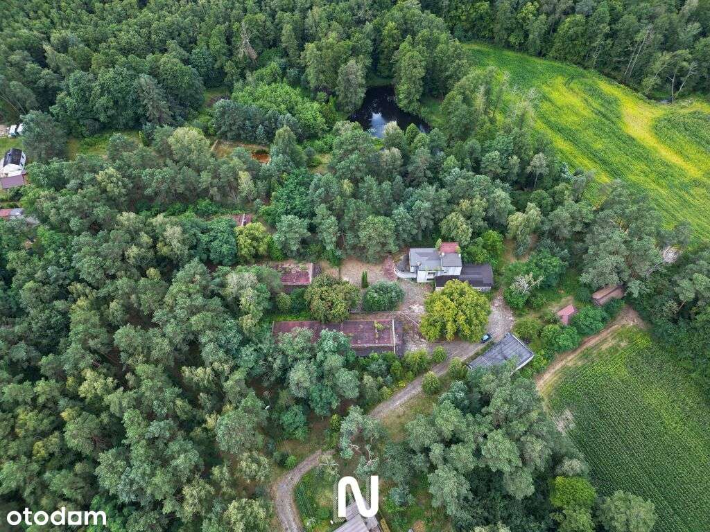 Wyjątkowy teren w doskonałej lokalizacji!-7