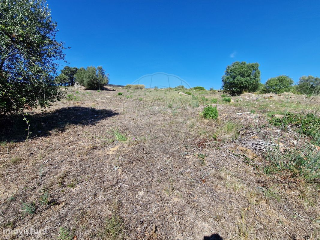 Terreno  para venda