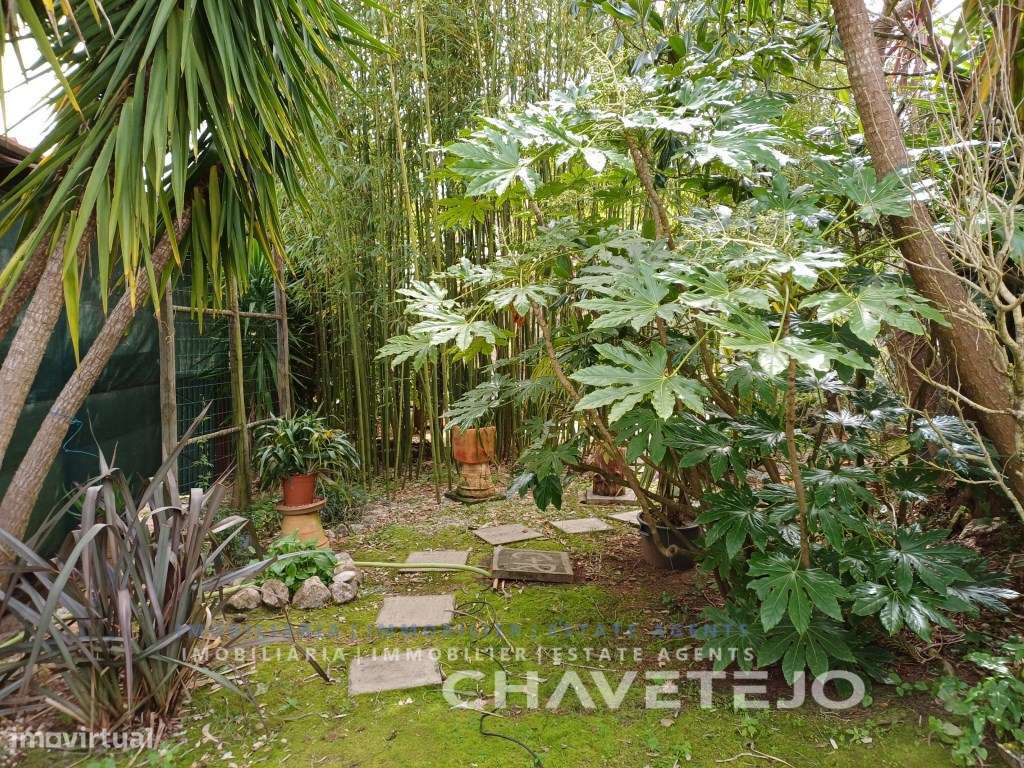 Charmosa casa de campo com 2 quartos, uma casa de banho, sala, cozi...-57