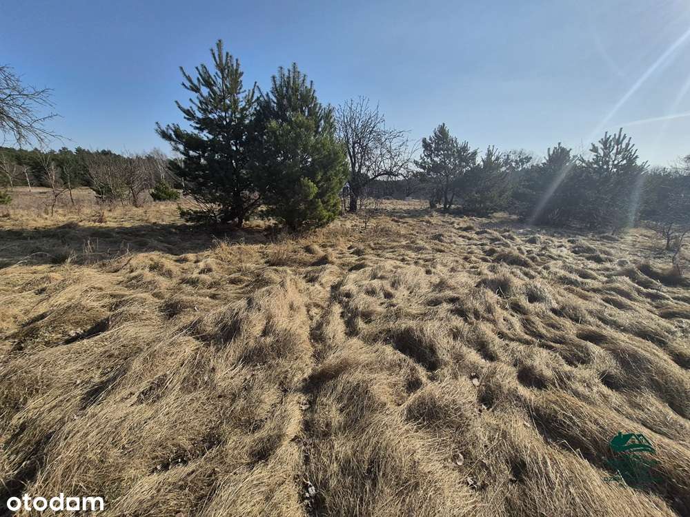 Działka 1563m2 z warunkami zabudowy Zgoda Aleksandrów Kujawski-5