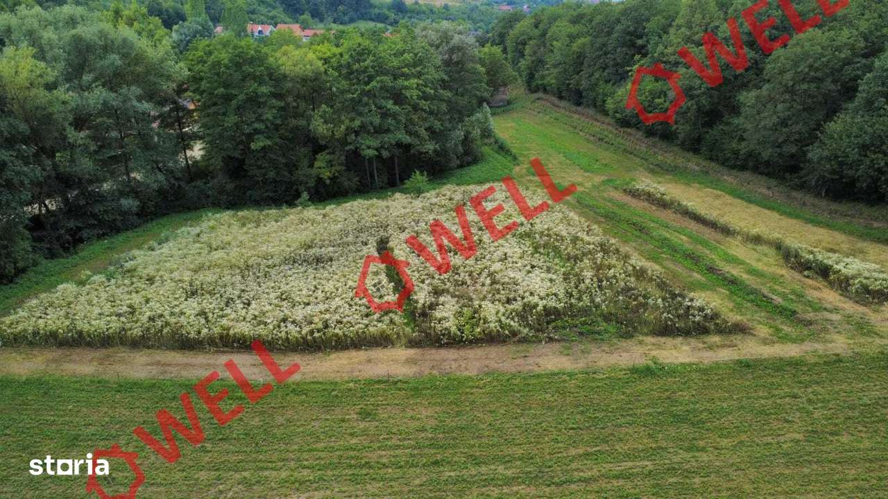 De vânzare proprietate de familie în Belin-Vale - Imagine principală: 5/13