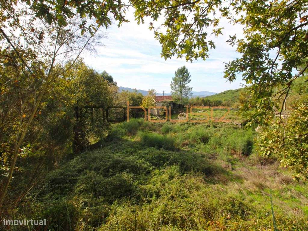 Quinta isolada - Amarante-1