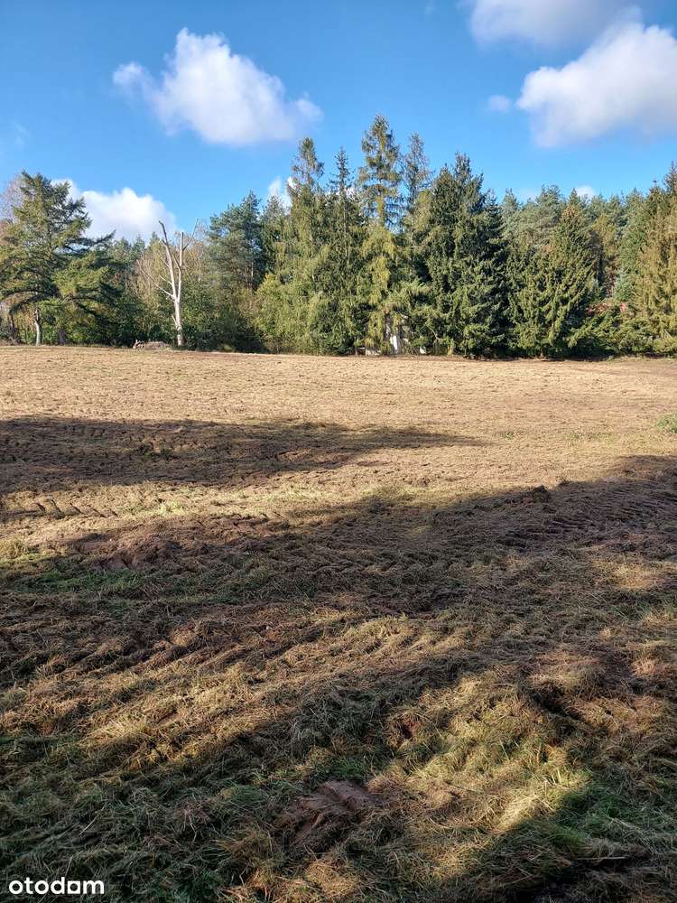 Działka Budowlana z pozwoleniem na budowę domu w  puszczy. "Kamińsko" - Pełny obrazek: 5/7