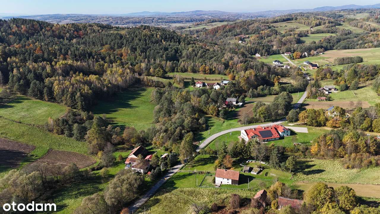 Pietrusza Wola – działka z WZ na 2 domy, media na działce-5