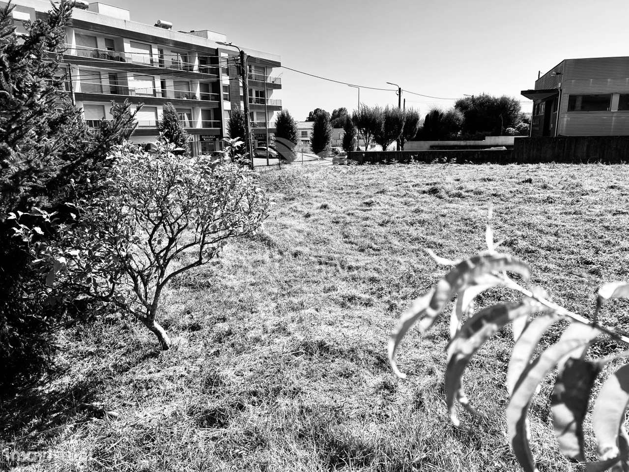 TERRENO CONSTRUTIVO | OPORTUNIDADE - Grande imagem: 5/7