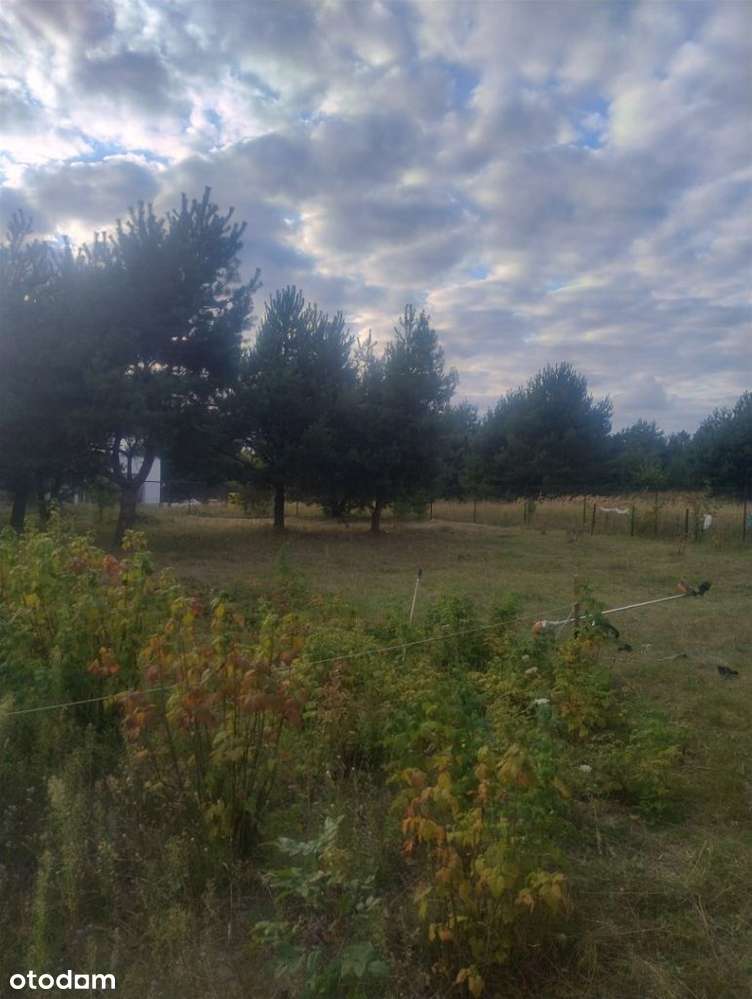 Piękna działka w Rakowni Gmina Murowana Goślina - Pełny obrazek: 4/17