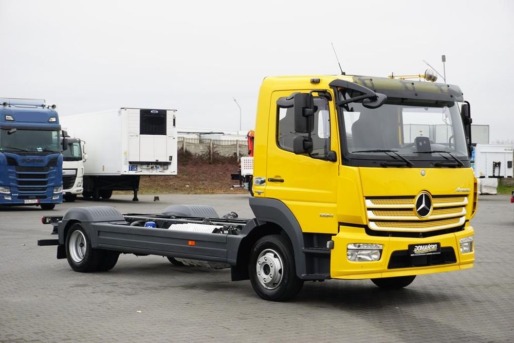 Mercedes-Benz Atego 2017