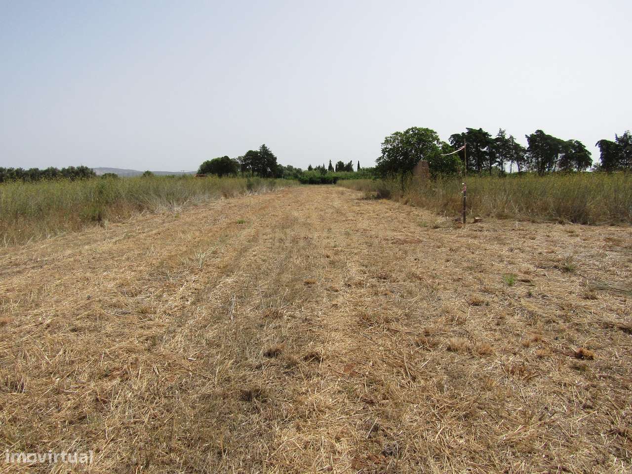 Terreno Rústico - Grande imagem: 5/12