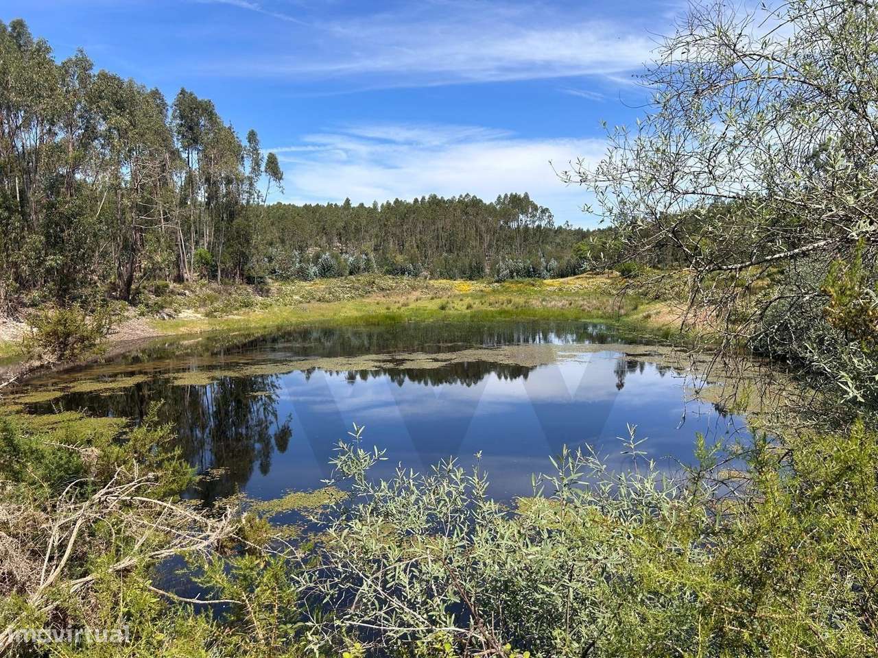 Herdade com 139 ha em Almeirim (Raposa) – produção, água e privacidade - Grande imagem: 2/21