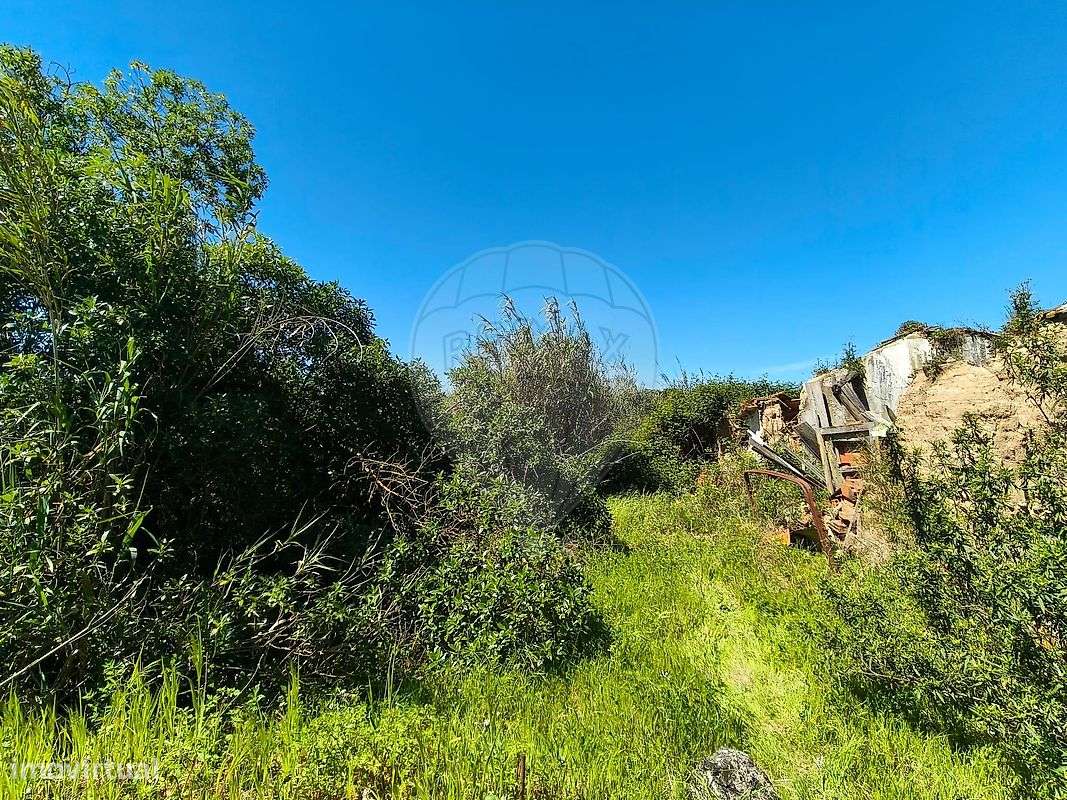 Terreno  para venda - Grande imagem: 5/19