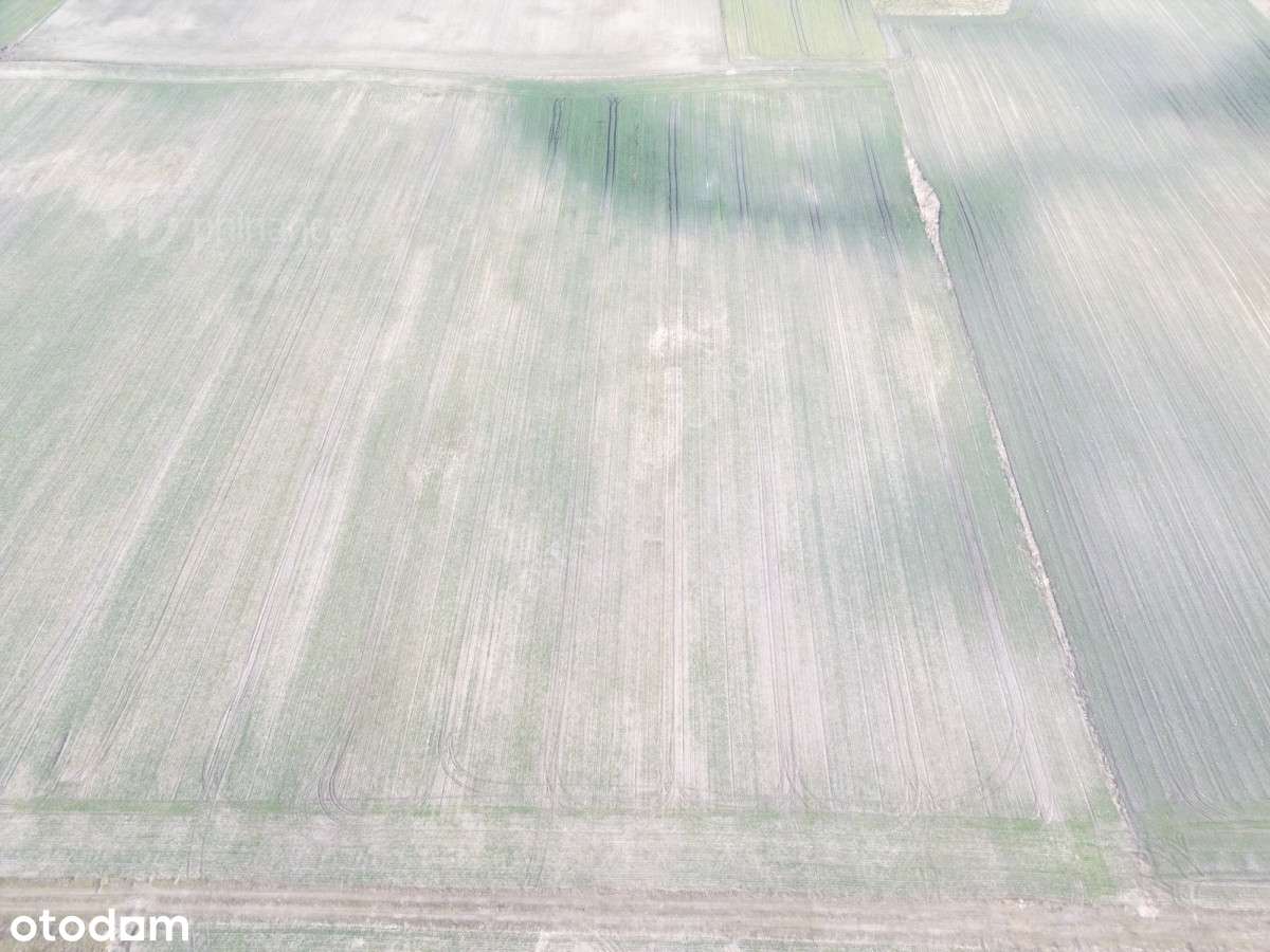 Działki budowlane na sprzedaż – Wymysłowo, Gniezno - Pełny obrazek: 5/7