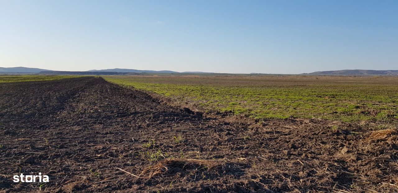 Teren extravilan arabil, 35 ha, pentru balastiera, langa Reghin